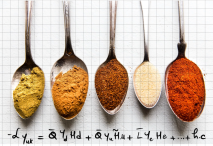 First flavor day at IJCLab